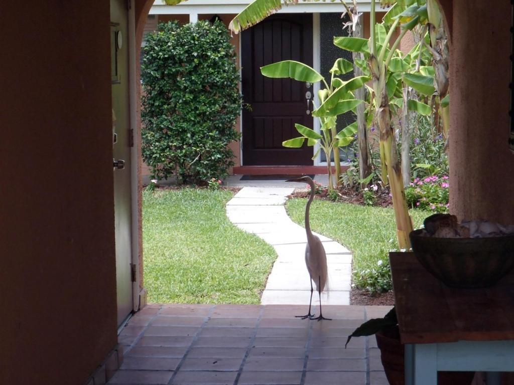Beach Road Villas Sanibel Eksteriør billede